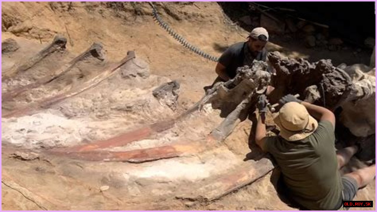 Digging Deep Into The Abby Berner Leaks: Uncovering Secrets And Consequences