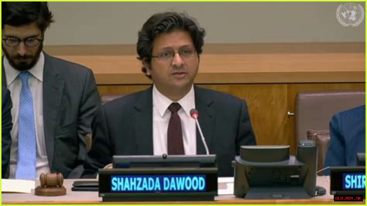 Meet Alina, The Daughter Of Prominent Business Tycoon Shahzada Dawood